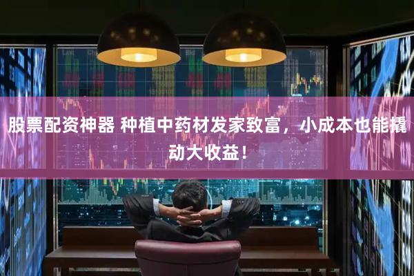 股票配资神器 种植中药材发家致富，小成本也能撬动大收益！